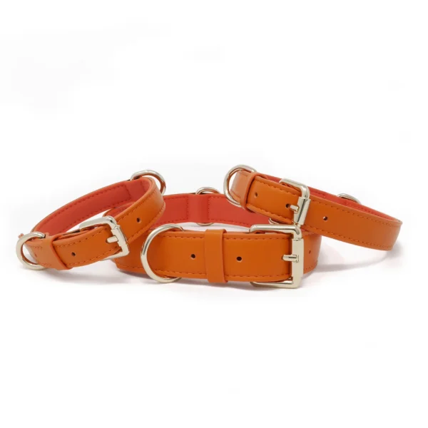 Collar - Tangerine Orange - Image 4