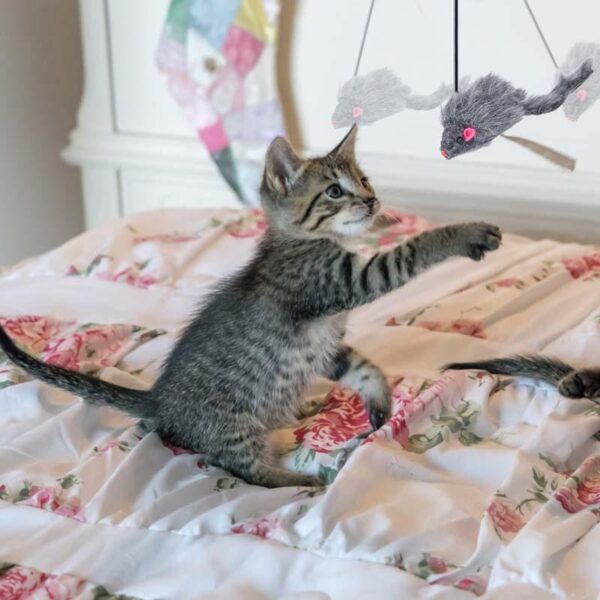 Hanging Cat Scratch Mouse - Image 8