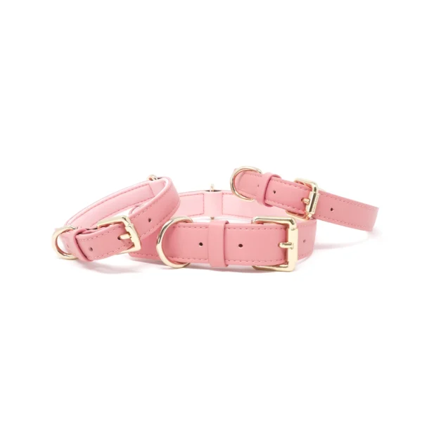 Collar - Baby Pink - Image 4