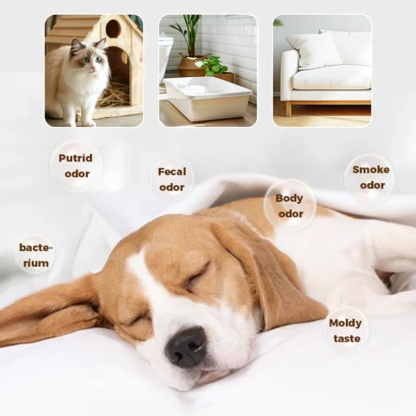 Pet Sterilizing Odor Eliminator for Strong Odor - Image 11