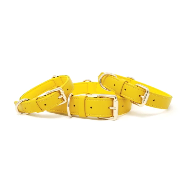 Collar - Bumblebee Yellow - Image 4