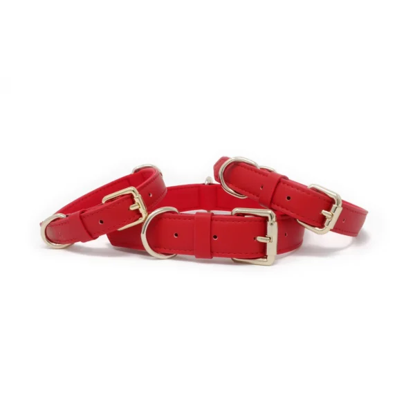 Collar - Flame Red - Image 4