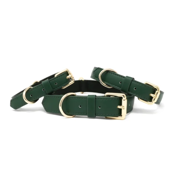 Collar - Forest Green - Image 4