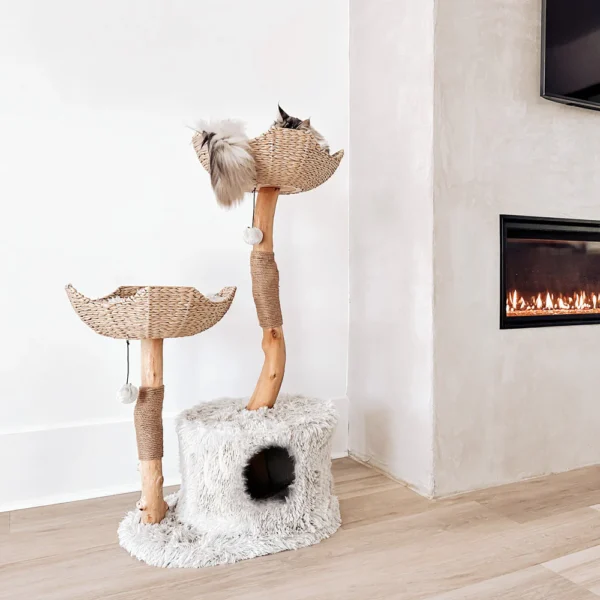 Cento - Image 10