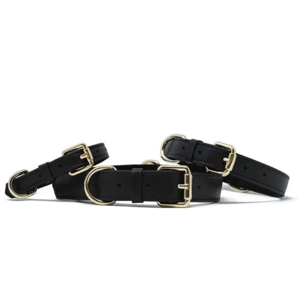 Collar - Onyx Black - Image 3